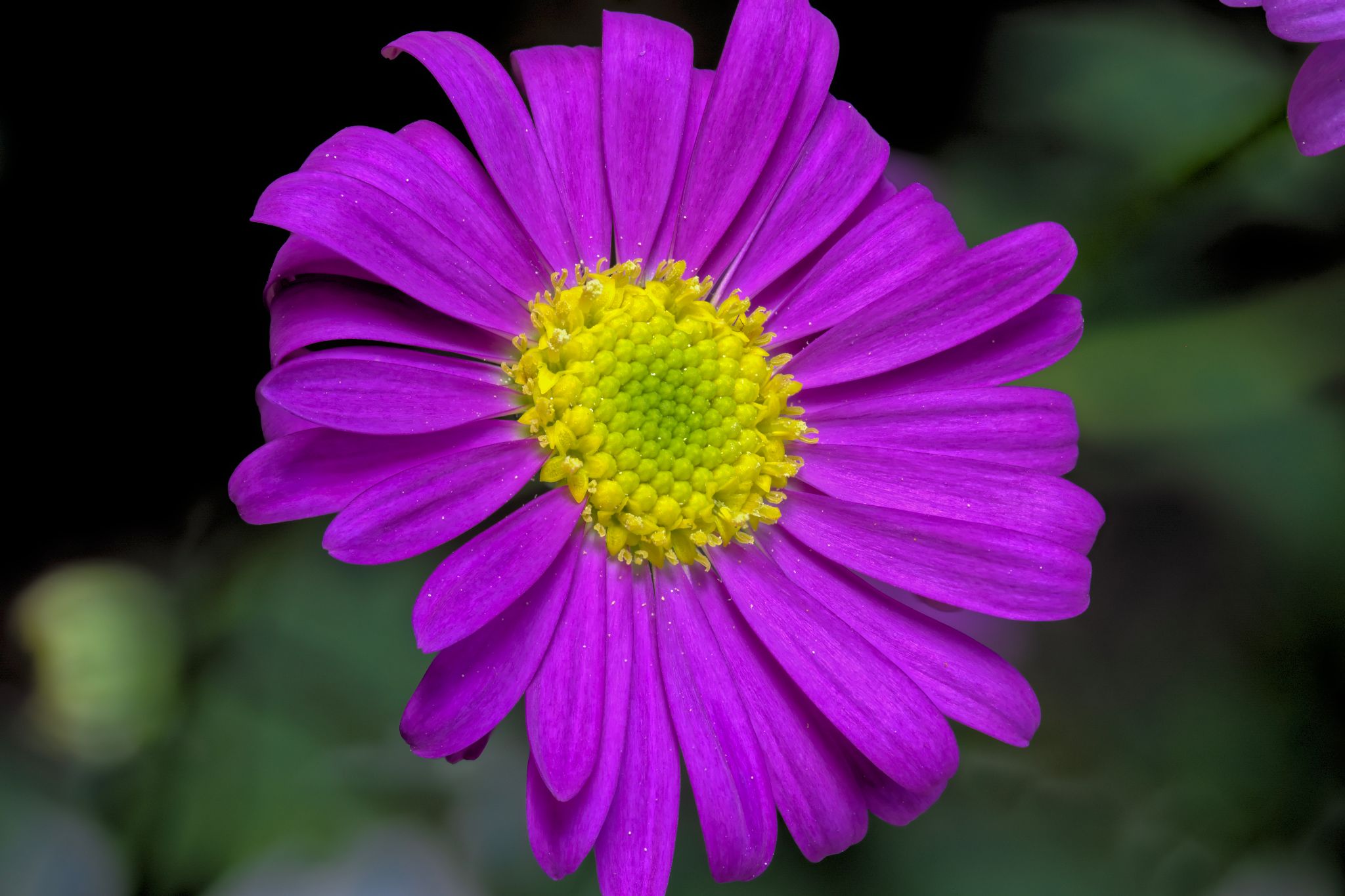 2022 05 07 18 52 06 (B,R8,S10)a